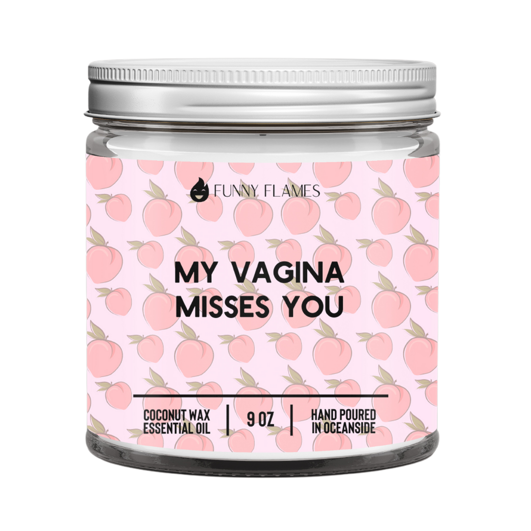 My Vagina Misses You