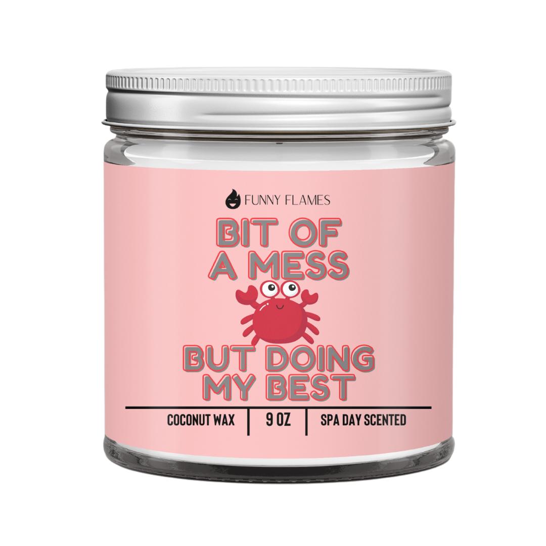 A Bit Of A Mess, But Doing My Best